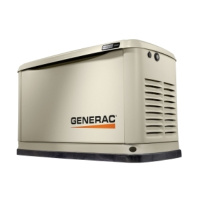 Газовый генератор GENERAC 7189 в кожухе