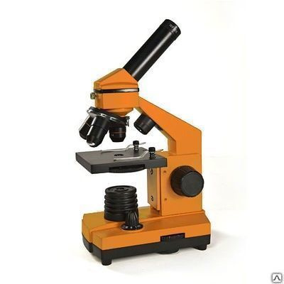 Микроскоп LEVENHUK Rainbow 3L NG Orange\Апельсин