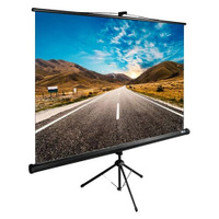 Экран Cactus TriExpert CS-PSTE-160x160-BK, 160х160 см, 1:1, напольный черный