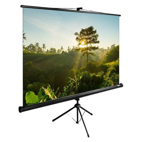 Экран Cactus TriExpert CS-PSTE-200x200-BK, 200х200 см, 1:1, напольный черный