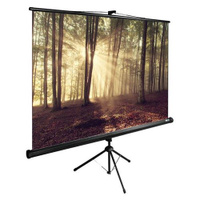Экран Cactus TriExpert CS-PSTE-180x135-BK, 180х135 см, 4:3, напольный черный