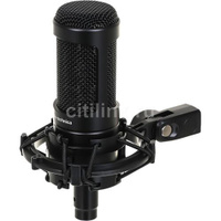 Микрофон Audio-Technica AT2050, черный [80001485]