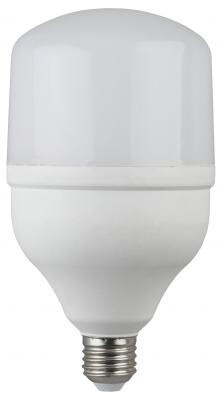Лампа светодиодная ЭРА LED smd POWER 20W-6500-E27 (40/800) Эра