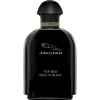 Gold In Black Jaguar