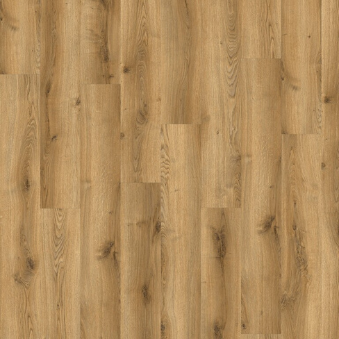 Плитка SPC Adelar Solida Acoustic Traditional Oak 03826 + подложка