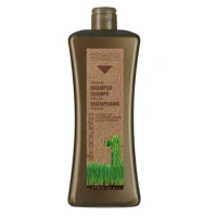 SALERM COSMETICS Шампунь с аргановым маслом для волос / BIOKERA Argan 1000 мл
