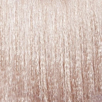 EPICA PROFESSIONAL 10.12 гель-краска для волос, светлый блондин перламутровый / Colordream 100 мл