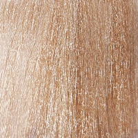 EPICA PROFESSIONAL 10.0 крем-краска для волос, светлый блондин натуральный холодный / Colorshade 100 мл