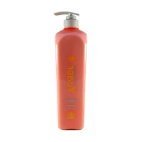 ANGEL PROFESSIONAL Шампунь защита цвета окрашенных волос / Color Protect Shampoo 1000 мл