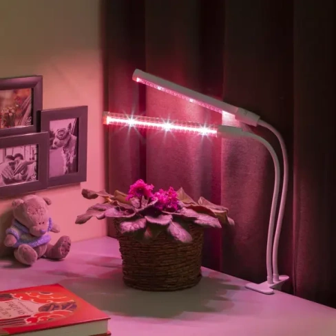 Фитосветильник светодиодный для растений Эра на прищепке красно-синий спектр розовый свет 20 Вт ЭРА None